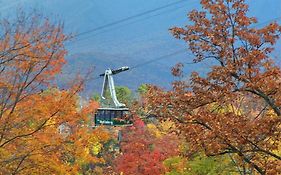 Tree Tops Resort Gatlinburg Tn